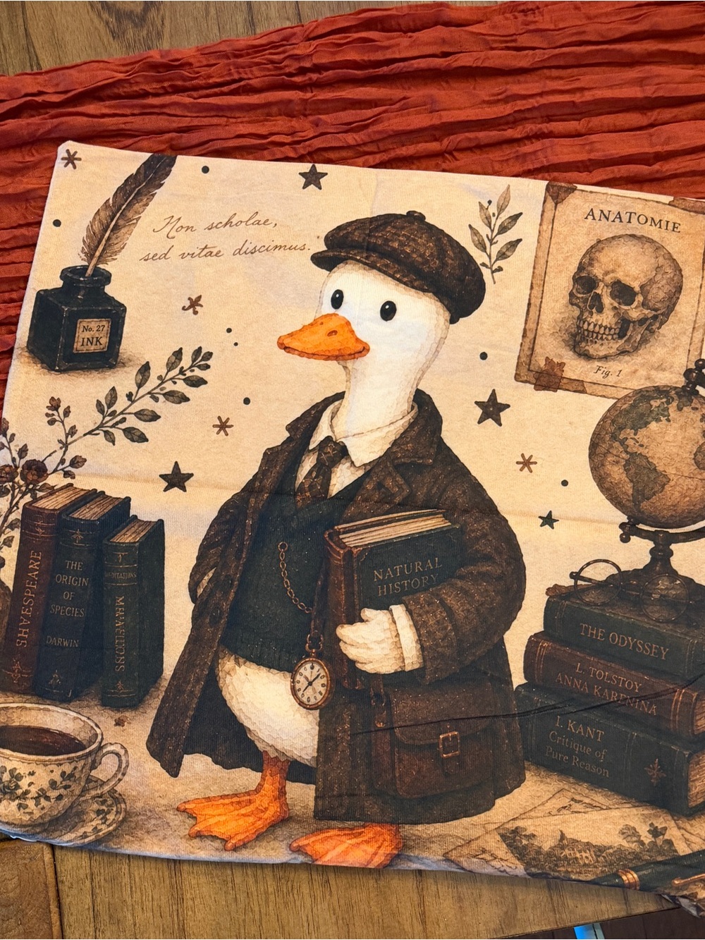 Cute 18x18 Duck Print Pillow Cover